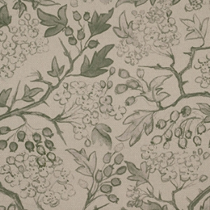 Spill Resistant RHS Gertrude Jekyll: Green