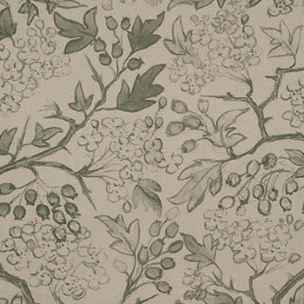 Spill Resistant RHS Gertrude Jekyll: Green