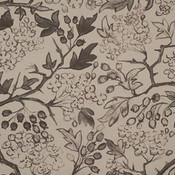 Spill Resistant RHS Gertrude Jekyll: Brown