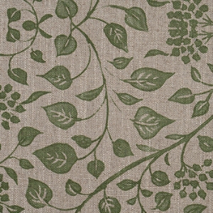 RHS Collection - Gertrude Jekyll Trailing Vine: Olive