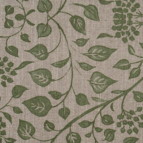 RHS Collection - Gertrude Jekyll Trailing Vine: Olive