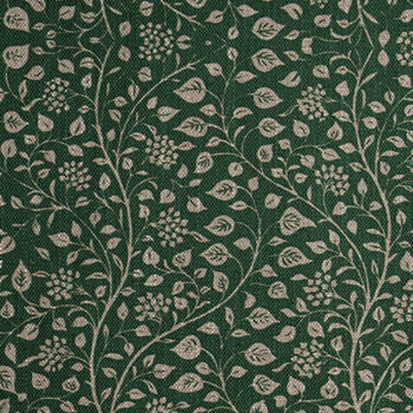 RHS Collection - Gertrude Jekyll Small Trailing Vine: Green