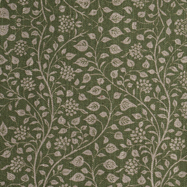 Spill Resistant RHS Gertrude Jekyll Small Trailing Vine: Olive