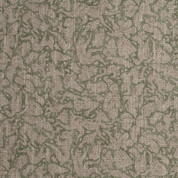 RHS Collection - Gertrude Jekyll Folklore: Olive
