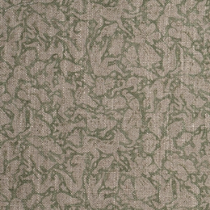 Spill Resistant RHS Gertrude Jekyll Folklore: Olive
