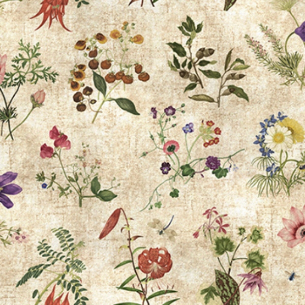 RHS Collection on Velvet - Caroline Maria Applebee Collage: Wildflowers
