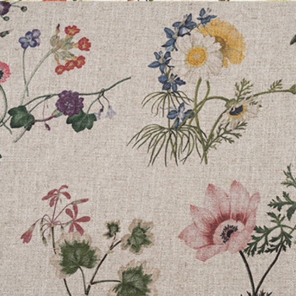 RHS Collection -  Caroline Maria Applebee Collage: Wildflowers