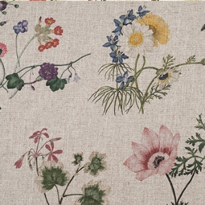 Spill Resistant RHS Caroline Maria Applebee Collage: Wildflowers