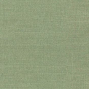 Signature Plain: Spinach
