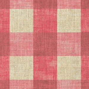Sussex Gingham Large: Cardinal