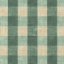 Sussex Gingham Small: Forest