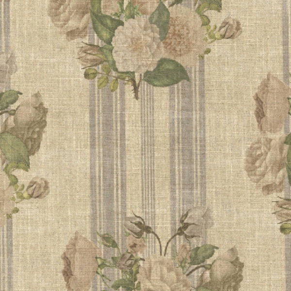 RHS Etta's Bouquet: Alba Stucco
