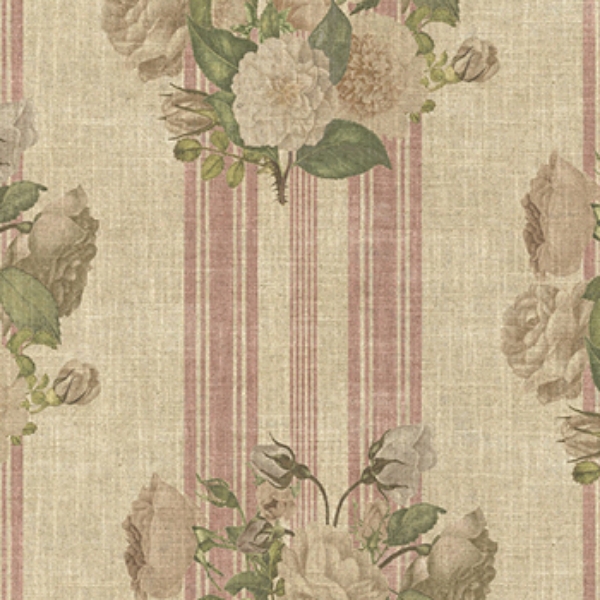 Spill Resistant RHS Etta's Bouquet: Alba Rose
