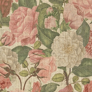 Spill Resistant RHS Etta's Bouquet All Over: Sunset
