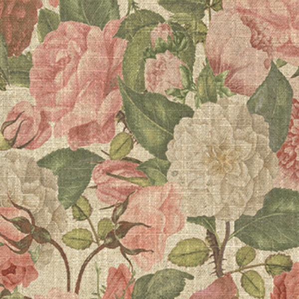 Spill Resistant RHS Etta's Bouquet All Over: Sunset