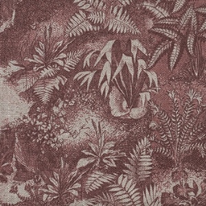 RHS Botanicals - Ferns Toile: Terracotta