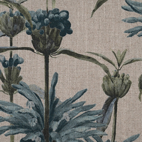 RHS Botanicals - Henry Moon Lions Tail: Teal