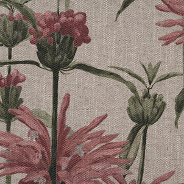 Spill Resistant RHS Henry Moon Lions Tail: Rose