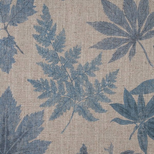 RHS Botanicals - Foliage: Powder Blue