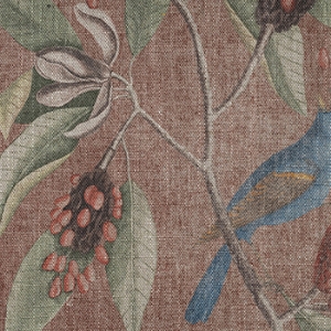 RHS Botanicals - Mark Catesby Grosbeak: Terracotta