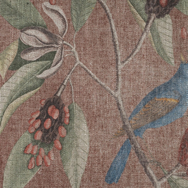 RHS Botanicals - Mark Catesby Grosbeak: Terracotta