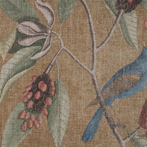 RHS Botanicals - Mark Catesby Grosbeak: Corn