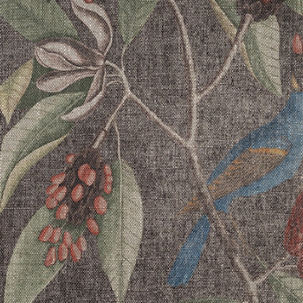 RHS Botanicals - Mark Catesby Grosbeak: Bark