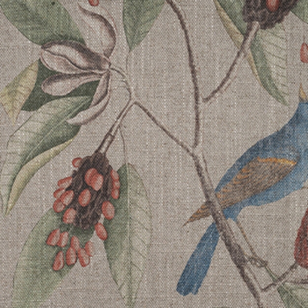 Spill Resistant RHS Mark Catesby Grosbeak: Natural