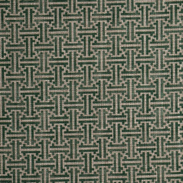 Spill Resistant RHS Gertrude Jekyll Lattice: Green