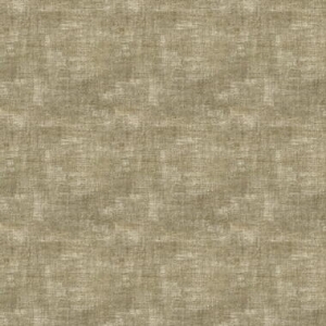 Haze: Lichen
