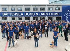 battersea dogs cats home