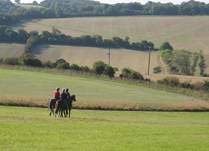 lambourn valley of the Racehorse