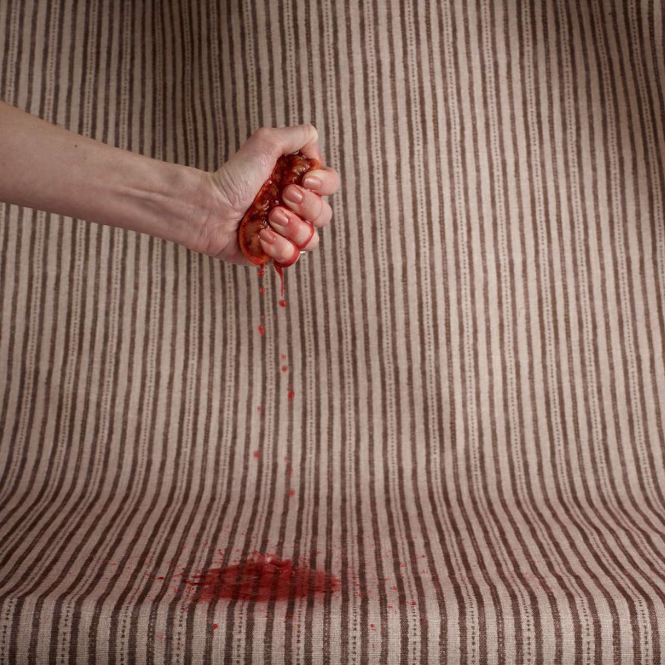 Discover it up close