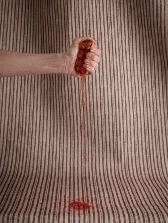 Discover it up close